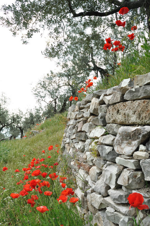 Agriturismo "Antico Frantoio" Villa Foligno Exterior foto